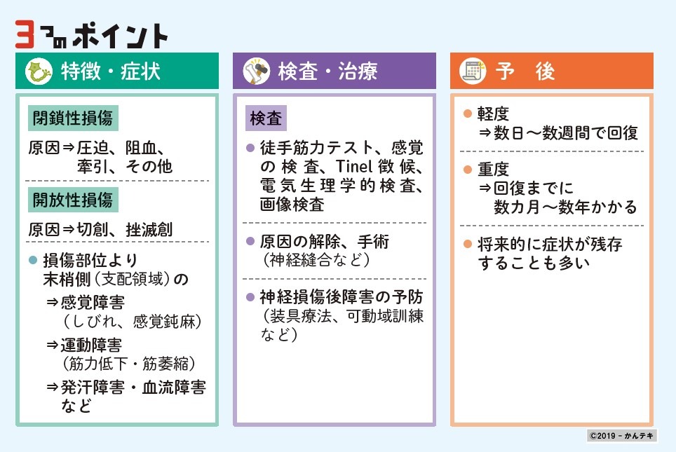 末梢神経障害 - 本