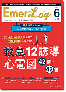 Emer-Log（エマログ）2023年6号