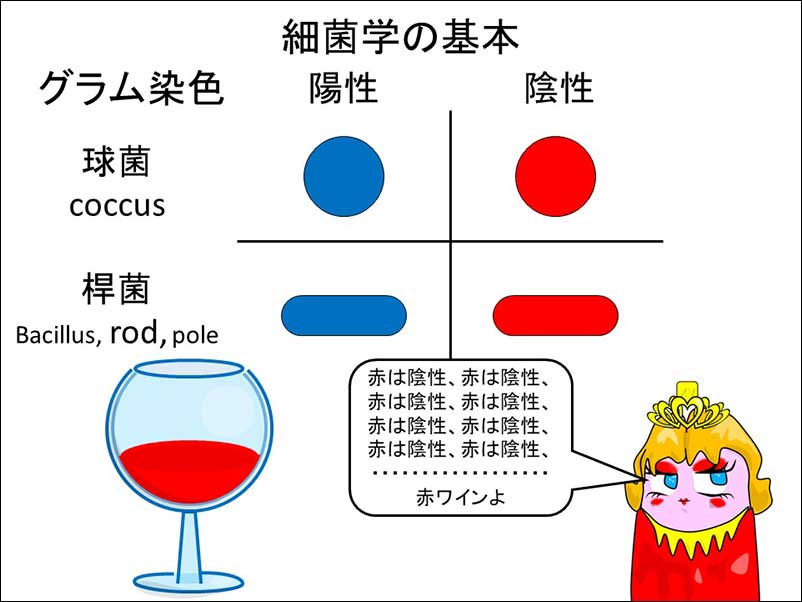 染方史郎の3分細菌楽_01