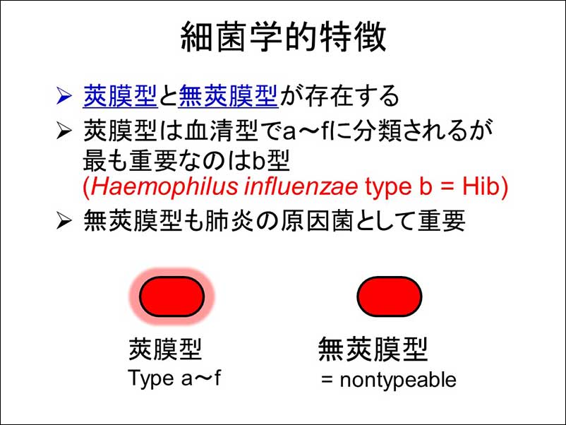 染方史郎の3分細菌楽_002_07