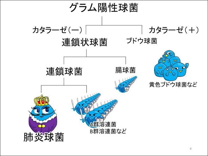 染方史郎の3分細菌楽_002_03