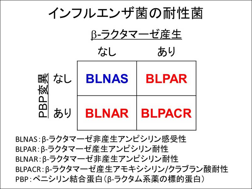 染方史郎の3分細菌楽_002_08