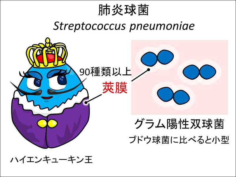 染方史郎の3分細菌楽_002_04