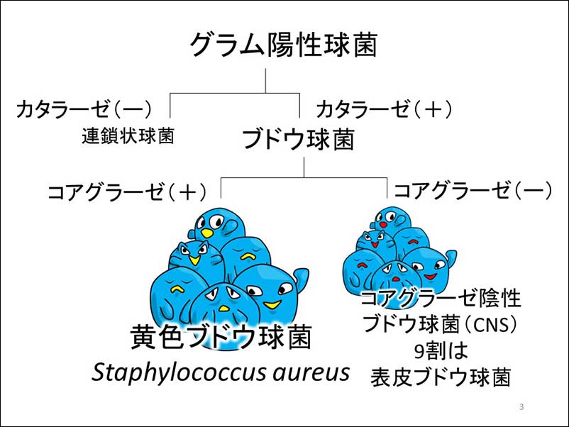 染方史郎の3分細菌楽_003_02