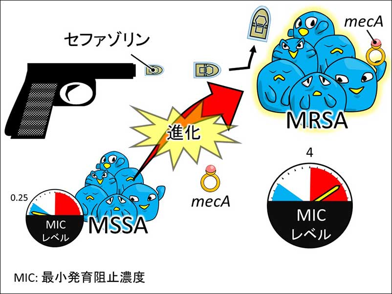 染方史郎の3分細菌楽_003_07