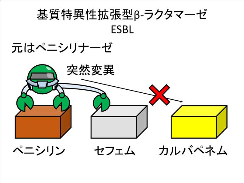 染方史郎の3分細菌楽_004_08