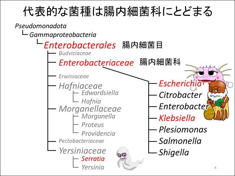 染方史郎の3分細菌楽_004_03