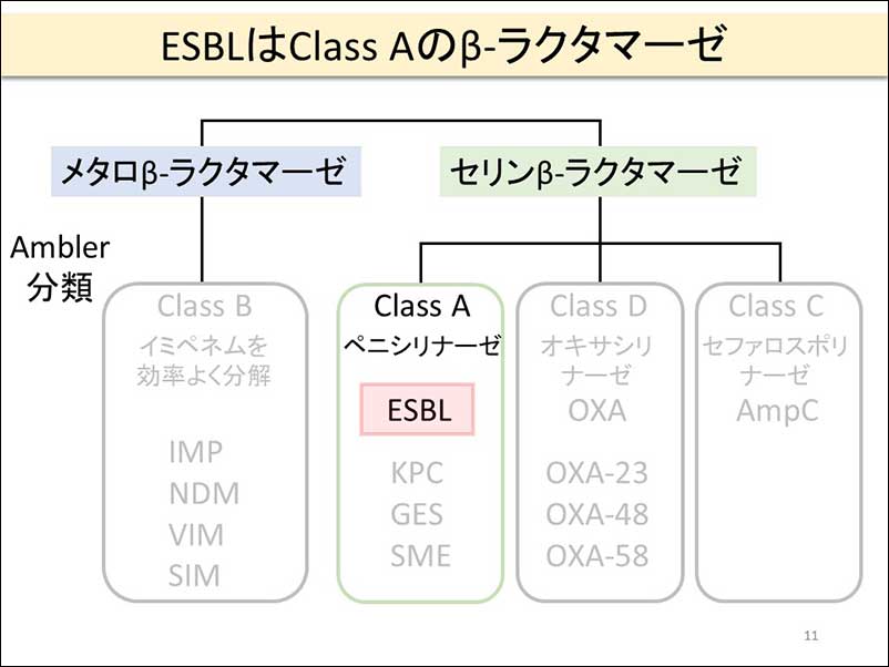 染方史郎の3分細菌楽_004_10