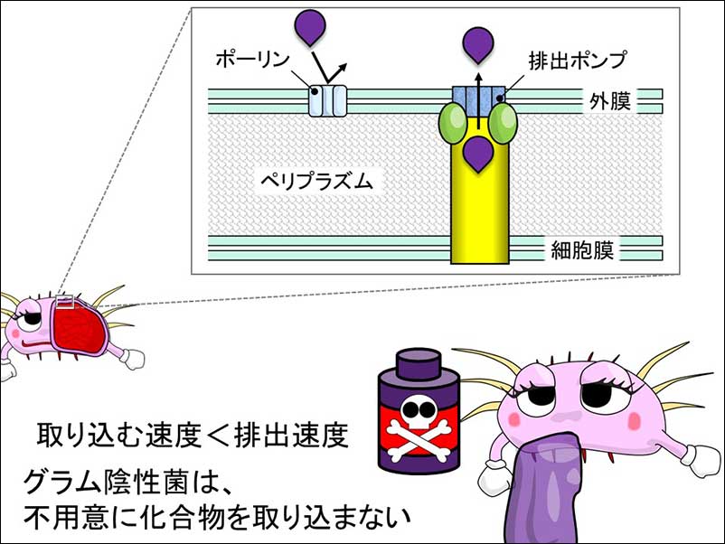 染方史郎の3分細菌楽_004_05