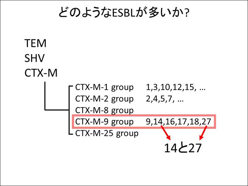 染方史郎の3分細菌楽_004_13