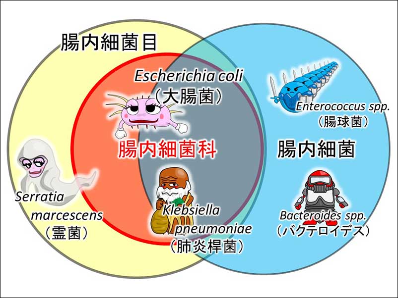 染方史郎の3分細菌楽_004_02