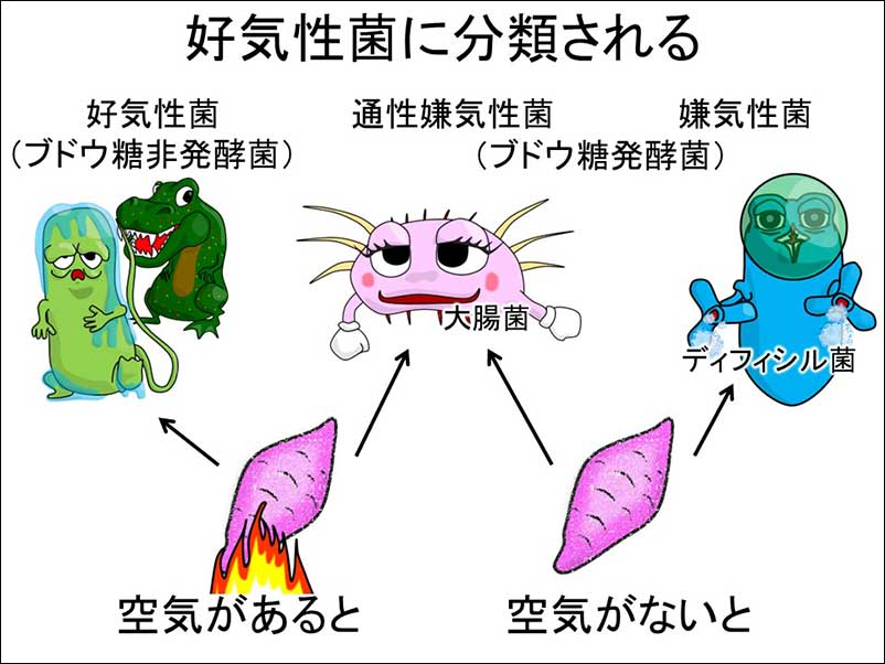 染方史郎の3分細菌楽_005_02