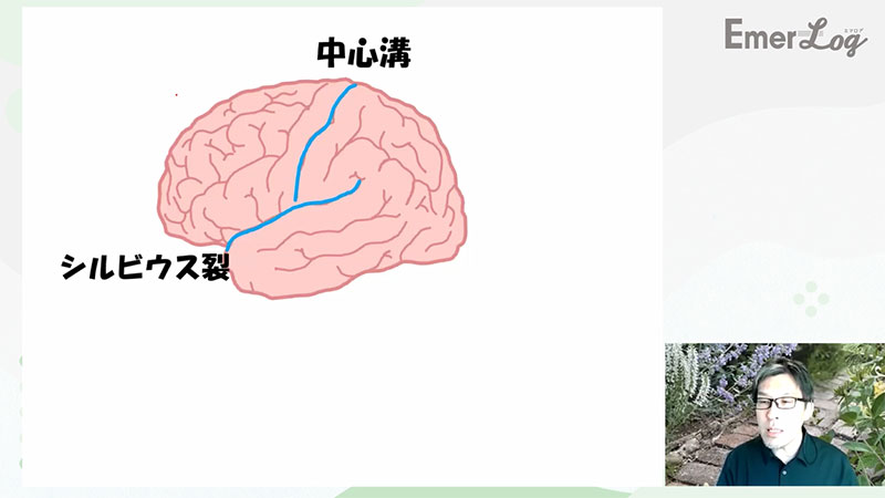 救急ナースのための脳の画像10