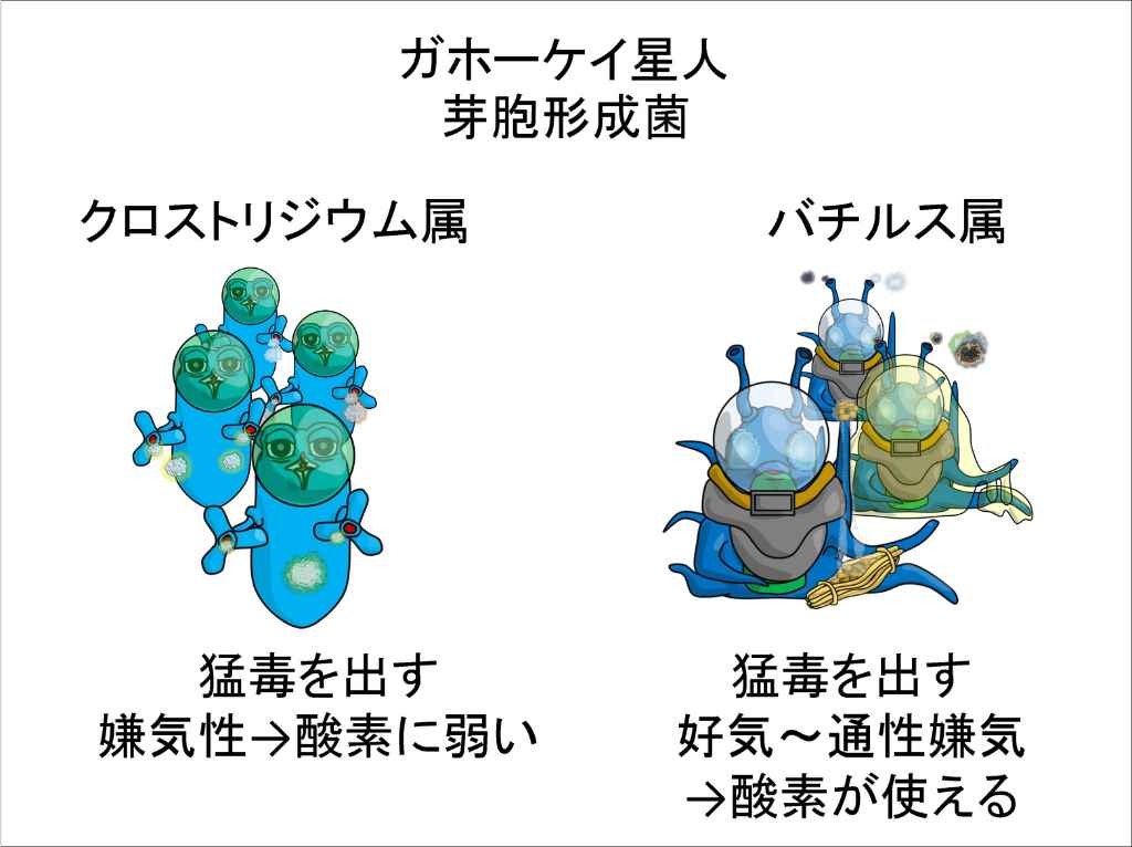 染方史郎の3分細菌楽_006_02