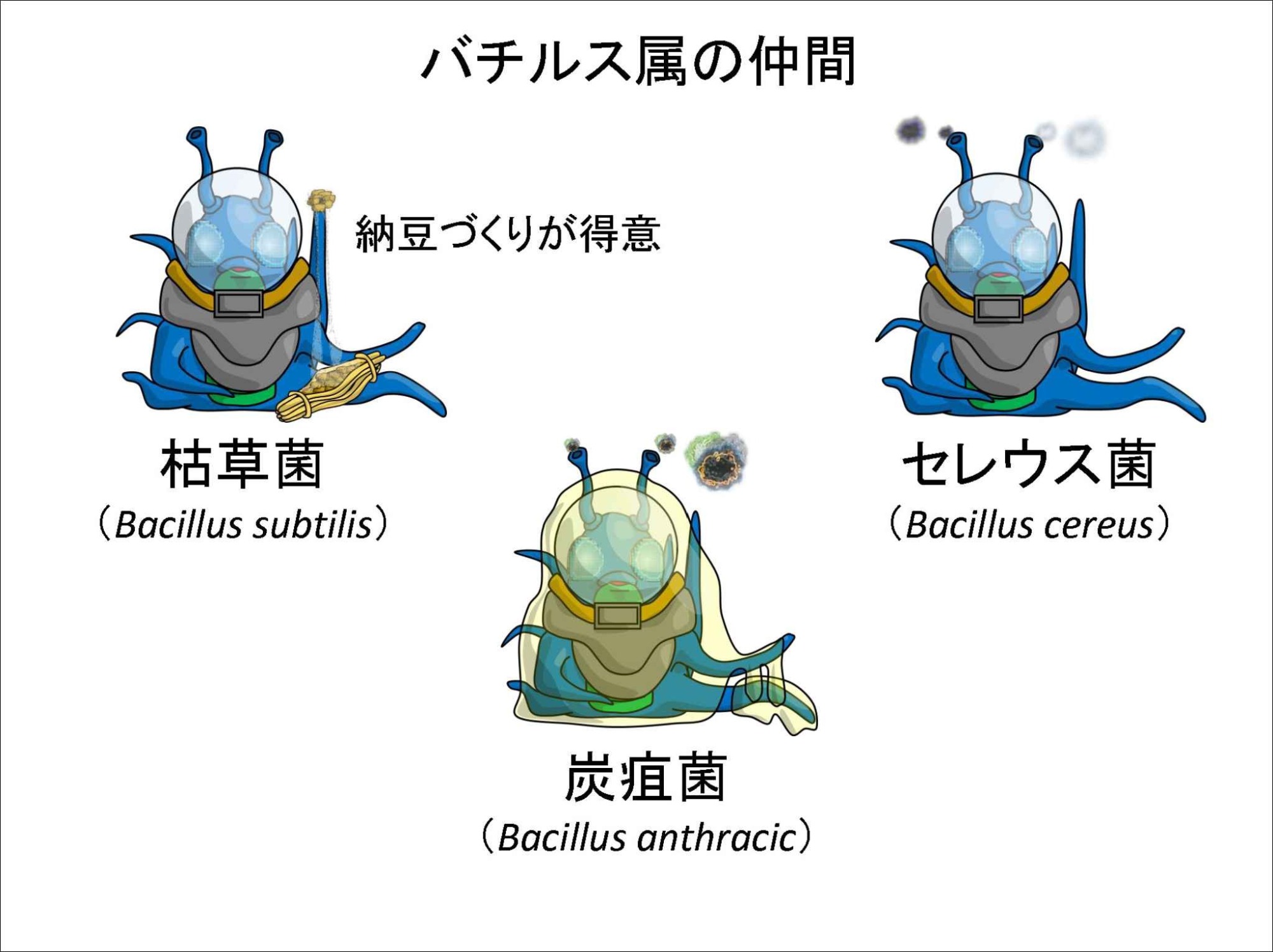 染方史郎の3分細菌楽_006_03