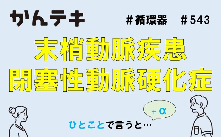 ひとことで言うと… #543｜末梢動脈疾患／閉塞性動脈硬化症