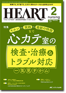 ハートナーシング2024年2月号　心カテ室の検査・治療＆トラブル対応　一気見ずかん