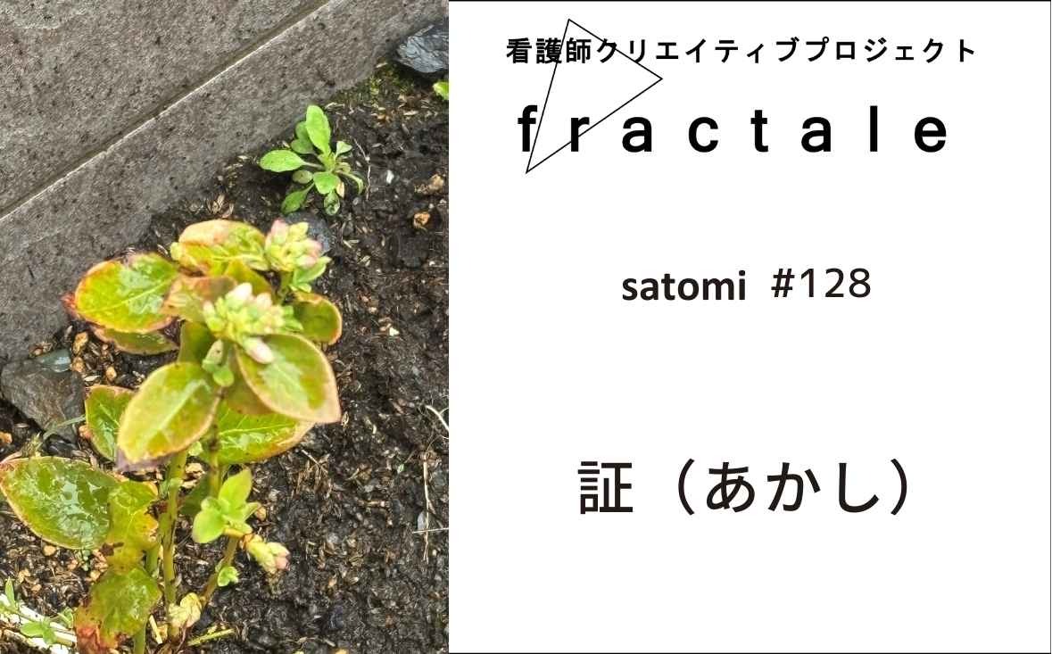 証（あかし）｜大事なことはぜんぶ臨床で学んだんだ｜satomi｜＃128