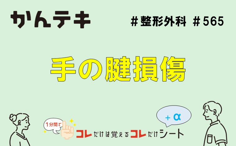 1分間でコレだけは覚えるコレだけシート #565｜手の腱損傷