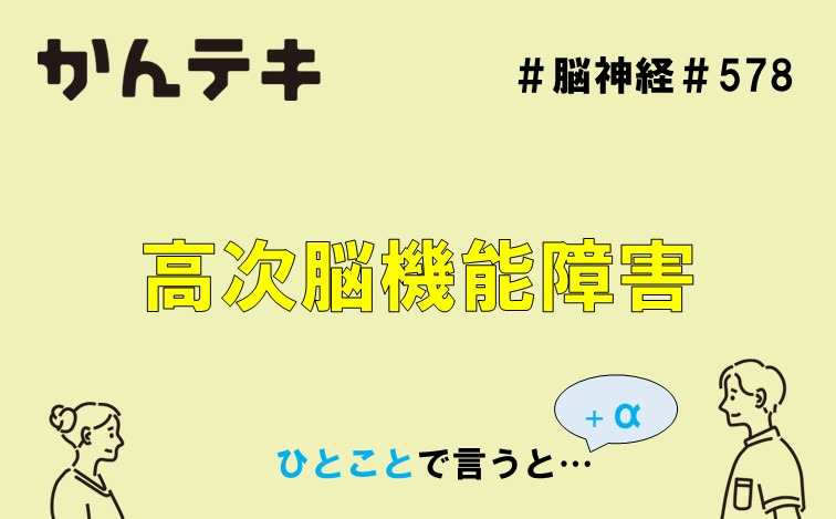ひとことで言うと… #578｜高次脳機能障害