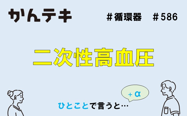 ひとことで言うと… #586｜二次性高血圧
