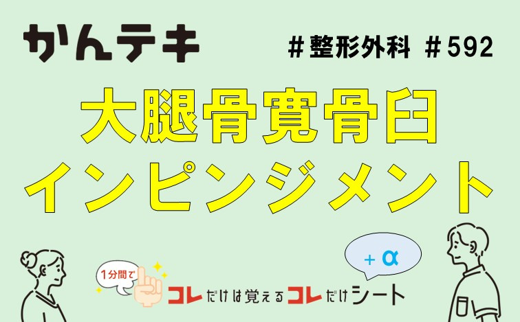 1分間でコレだけは覚えるコレだけシート #592｜大腿骨寛骨臼インピンジメント