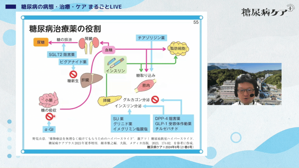 糖尿病の病態・治療・ケア まるごとLIVE01