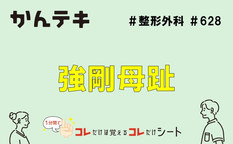 1分間でコレだけは覚えるコレだけシート&hellip; #628｜強剛母趾