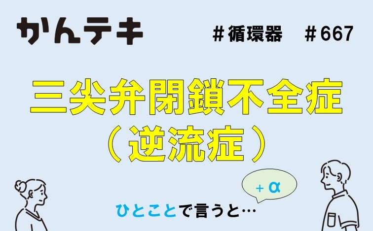 ひとことで言うと&hellip; #667｜三尖弁閉鎖不全症（逆流症）