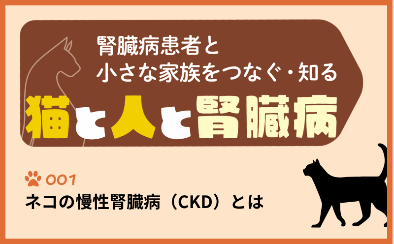 腎臓病患者と小さな家族をつなぐ・知る　猫と人と腎臓病｜＃001｜ネコの慢性腎臓病（CKD）とは｜荒川弘之・藤間裕子・宮﨑 徹