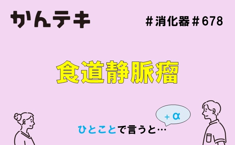 ひとことで言うと&hellip; #678 ｜食道静脈瘤