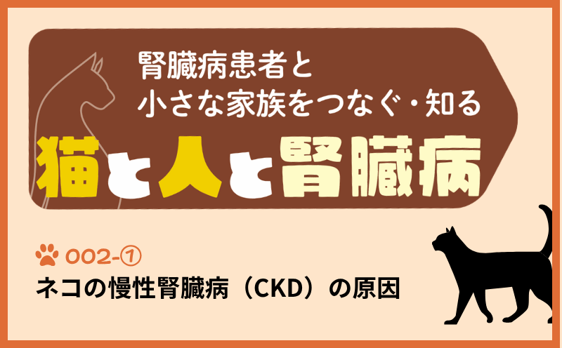 腎臓病患者と小さな家族をつなぐ・知る　猫と人と腎臓病｜＃002｜ネコの慢性腎臓病（CKD）の原因｜荒川弘之・藤間裕子・宮﨑 徹