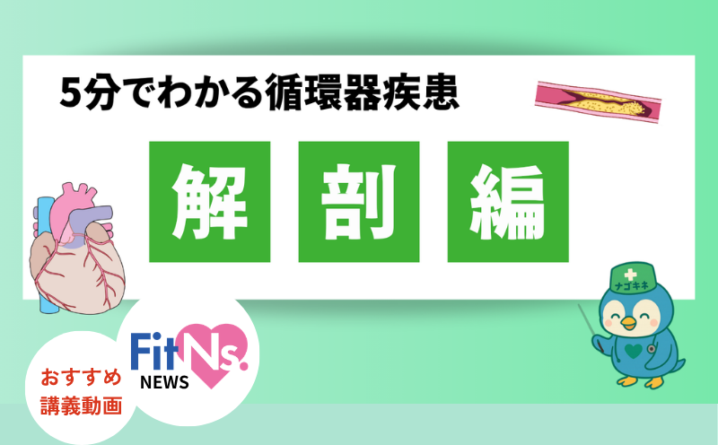 【大動脈解離】障害される血管によって症状はどう変わる？｜FitNs.NEWS＃149